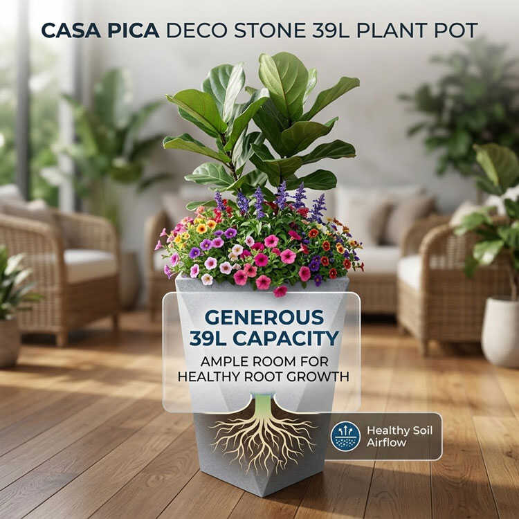 Large 39L plant pot capacity for root growth infographic.