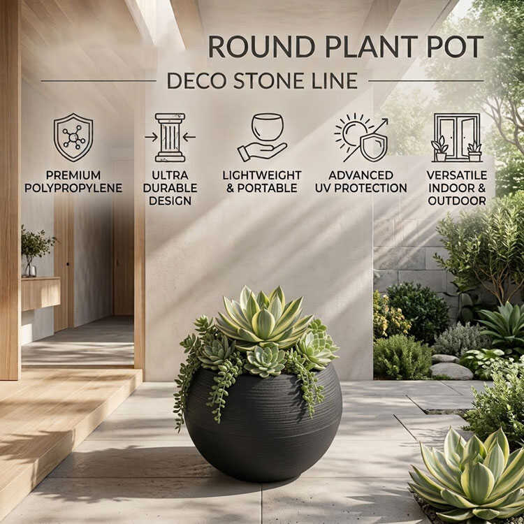Infographic of black round planter with succulent plant.