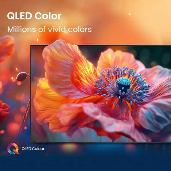 HISENSE 98" QLED 4K UHD GOOGLE SMART TV (2024) | 98Q6QG - Image 