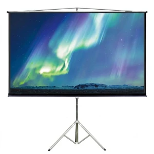 PROJECTION SCREEN W/ TRIPOD